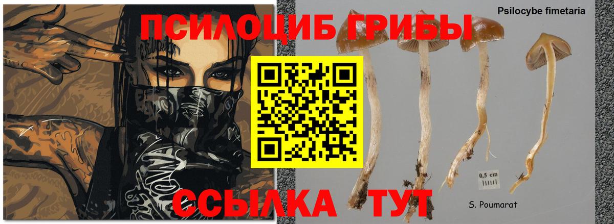 Галлюциногенные грибы мухоморы  Галлюциногенные грибы мицелий  Кудымкар  Вход с VPN 