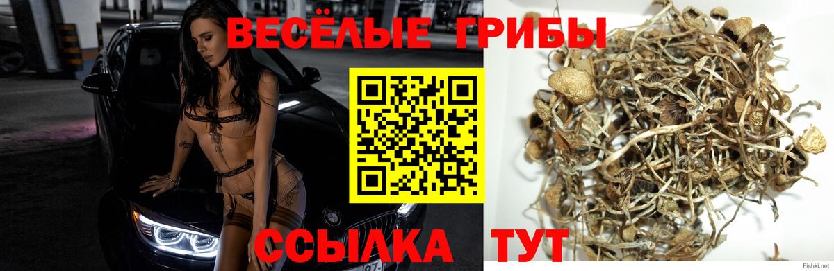 Галлюциногенные грибы MAGIC MUSHROOMS Кудымкар